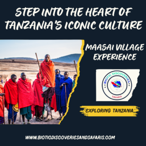Step into the World of the Maasai: Step into the Heart of Tanzania’s Iconic Culture